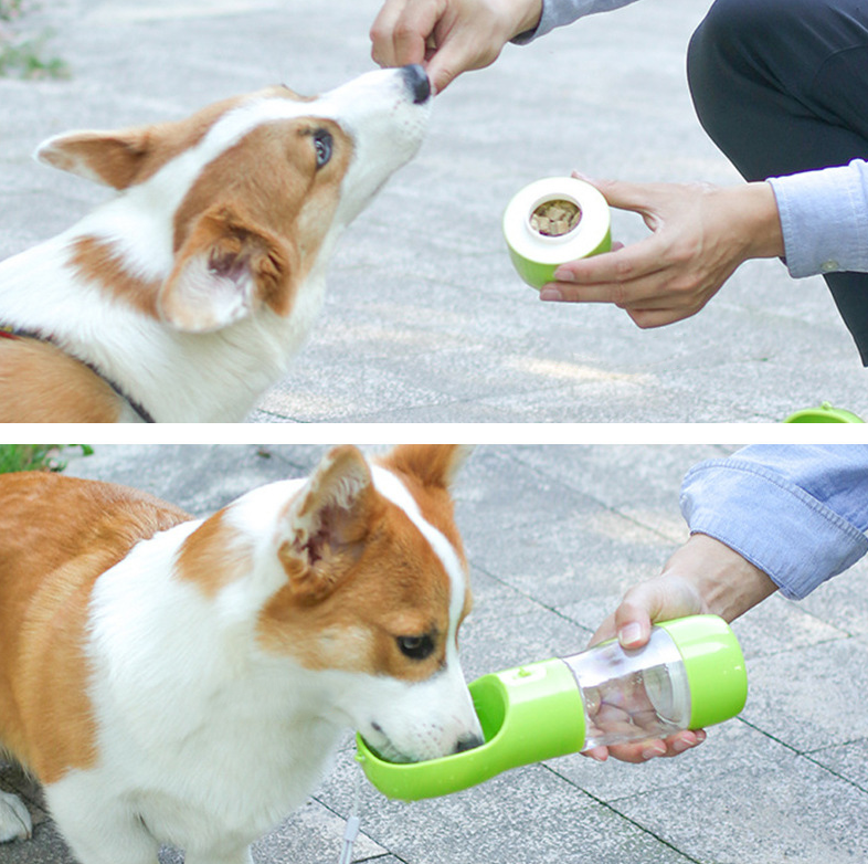 Garrafa Portátil para Passeio Pet